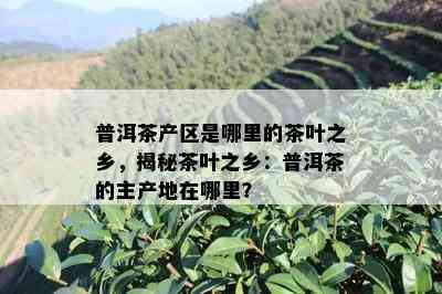 普洱茶产区是哪里的茶叶之乡，揭秘茶叶之乡：普洱茶的主产地在哪里？