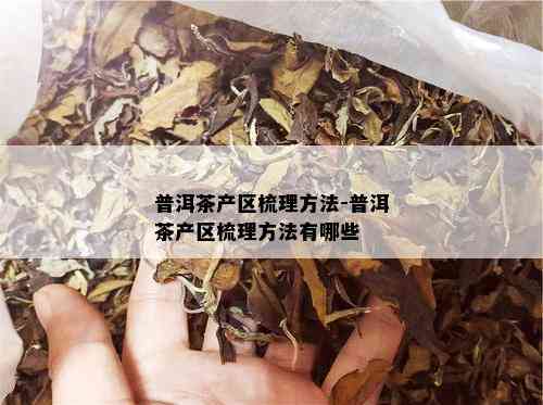 普洱茶产区梳理方法-普洱茶产区梳理方法有哪些