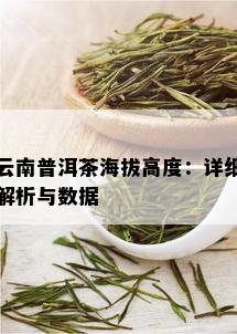 云南普洱茶海拔高度：详细解析与数据