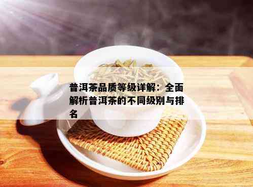 普洱茶品质等级详解：全面解析普洱茶的不同级别与排名