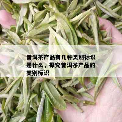 普洱茶产品有几种类别标识是什么，探究普洱茶产品的类别标识