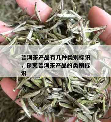 普洱茶产品有几种类别标识，探究普洱茶产品的类别标识