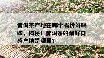 普洱茶产地在哪个省份好喝些，揭秘！普洱茶的更好口感产地是哪里？