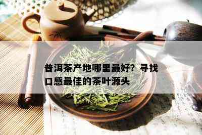 普洱茶产地哪里更好？寻找口感更佳的茶叶源头