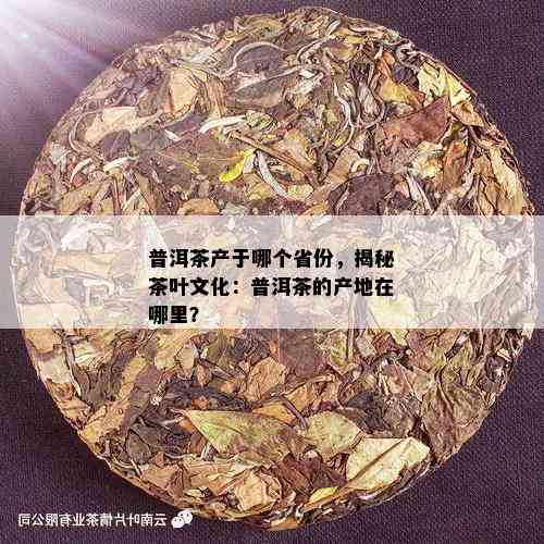 普洱茶产于哪个省份，揭秘茶叶文化：普洱茶的产地在哪里？