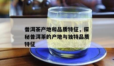 普洱茶产地和品质特征，探秘普洱茶的产地与独特品质特征