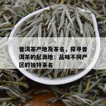 普洱茶产地及茶名，探寻普洱茶的起源地：品味不同产区的独特茶名