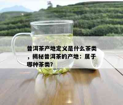 普洱茶产地定义是什么茶类，揭秘普洱茶的产地：属于哪种茶类？