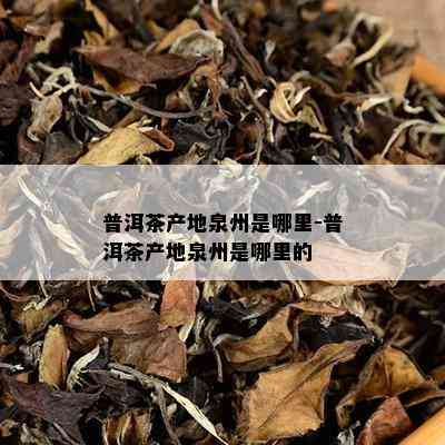 普洱茶产地泉州是哪里-普洱茶产地泉州是哪里的