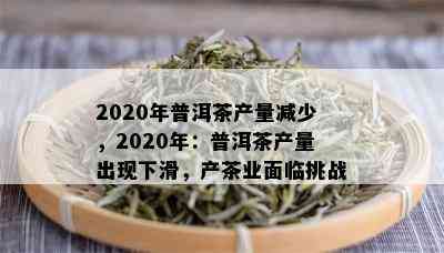 2020年普洱茶产量减少，2020年：普洱茶产量出现下滑，产茶业面临挑战