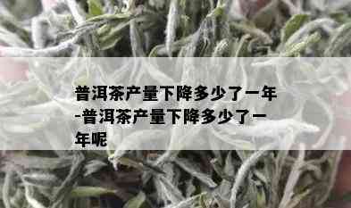 普洱茶产量下降多少了一年-普洱茶产量下降多少了一年呢