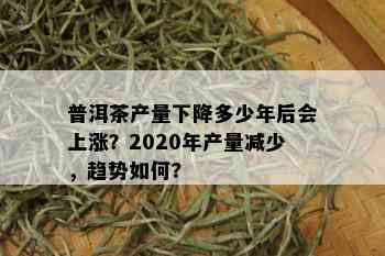 普洱茶产量下降多少年后会上涨？2020年产量减少，趋势如何?