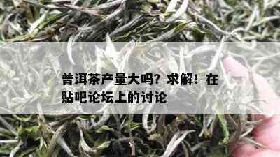 普洱茶产量大吗？求解！在贴吧论坛上的讨论