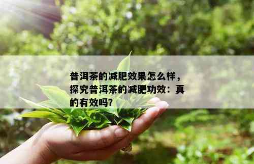 普洱茶的减肥效果怎么样，探究普洱茶的减肥功效：真的有效吗？