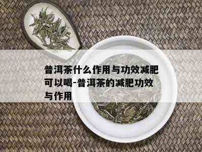 普洱茶什么作用与功效减肥可以喝-普洱茶的减肥功效与作用