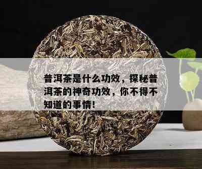 普洱茶是什么功效，探秘普洱茶的神奇功效，你不得不知道的事情！