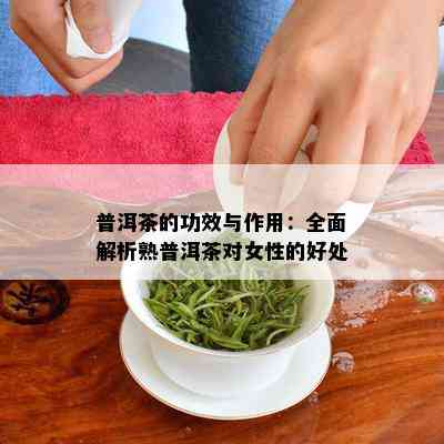 普洱茶的功效与作用：全面解析熟普洱茶对女性的好处