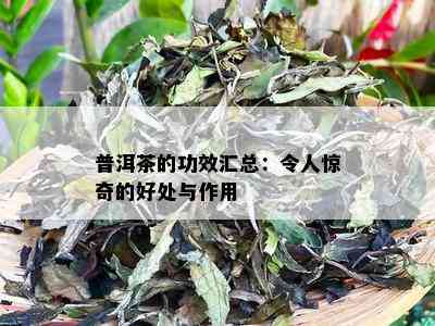 普洱茶的功效汇总：令人惊奇的好处与作用