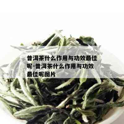 普洱茶什么作用与功效更佳呢-普洱茶什么作用与功效更佳呢图片