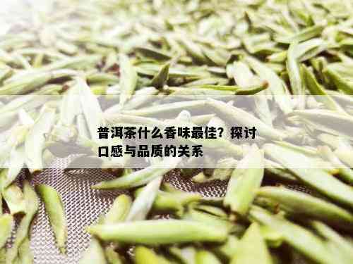 普洱茶什么香味更佳？探讨口感与品质的关系