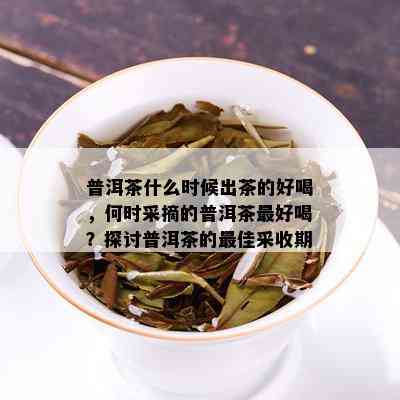 普洱茶什么时候出茶的好喝，何时采摘的普洱茶更好喝？探讨普洱茶的更佳采收期