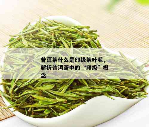 普洱茶什么是印级茶叶呢，解析普洱茶中的“印级”概念