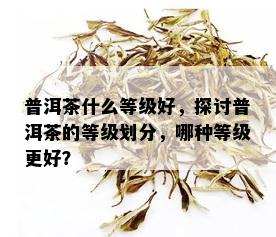 普洱茶什么等级好，探讨普洱茶的等级划分，哪种等级更好？