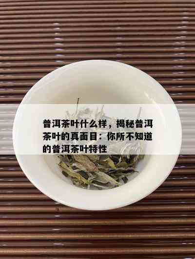 普洱茶叶什么样，揭秘普洱茶叶的真面目：你所不知道的普洱茶叶特性