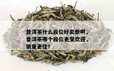 普洱茶什么段位好卖些啊，普洱茶哪个段位更受欢迎，销量更佳？