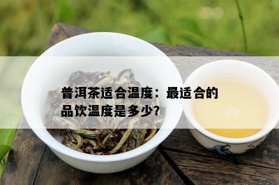 普洱茶适合温度：最适合的品饮温度是多少？