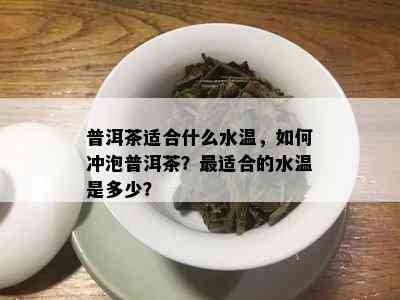 普洱茶适合什么水温，如何冲泡普洱茶？最适合的水温是多少？