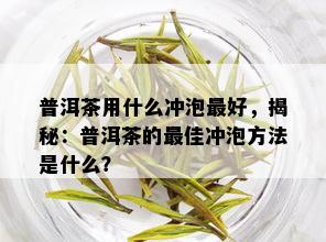 普洱茶用什么冲泡更好，揭秘：普洱茶的更佳冲泡方法是什么？