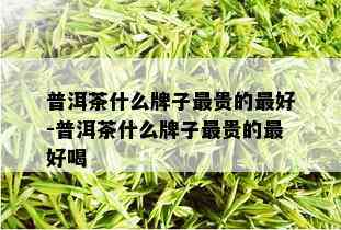 普洱茶什么牌子最贵的更好-普洱茶什么牌子最贵的更好喝