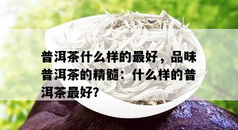 普洱茶什么样的更好，品味普洱茶的精髓：什么样的普洱茶更好？