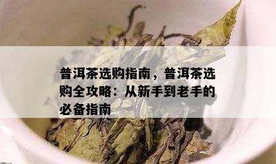 普洱茶选购指南，普洱茶选购全攻略：从新手到老手的必备指南