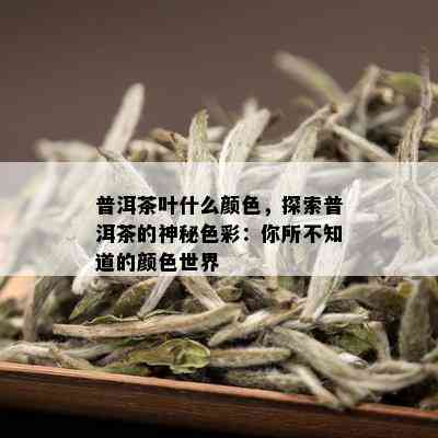 普洱茶叶什么颜色，探索普洱茶的神秘色彩：你所不知道的颜色世界