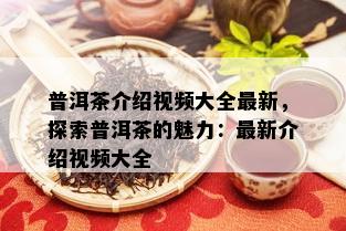 普洱茶介绍视频大全最新，探索普洱茶的魅力：最新介绍视频大全