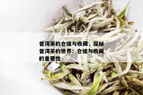 普洱茶的仓储与收藏，探秘普洱茶的世界：仓储与收藏的重要性