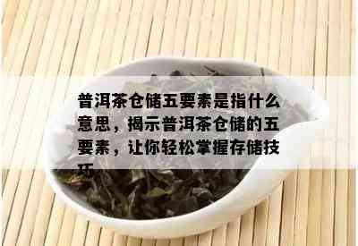 普洱茶仓储五要素是指什么意思，揭示普洱茶仓储的五要素，让你轻松掌握存储技巧