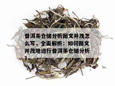 普洱茶仓储分析图文并茂怎么写，全面解析：如何图文并茂地进行普洱茶仓储分析？