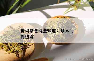 普洱茶仓储全知道：从入门到进阶