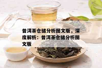 普洱茶仓储分析图文版，深度解析：普洱茶仓储分析图文版