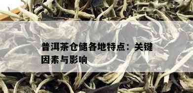 普洱茶仓储各地特点：关键因素与影响