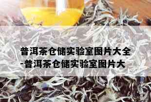 普洱茶仓储实验室图片大全-普洱茶仓储实验室图片大