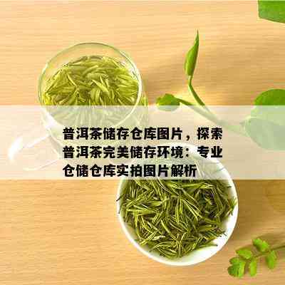 普洱茶储存仓库图片，探索普洱茶完美储存环境：专业仓储仓库实拍图片解析