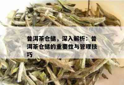 普洱茶仓储，深入解析：普洱茶仓储的重要性与管理技巧