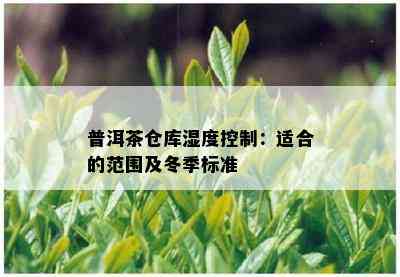 普洱茶仓库湿度控制：适合的范围及冬季标准