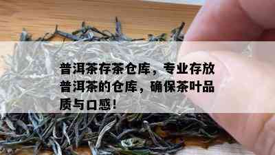 普洱茶存茶仓库，专业存放普洱茶的仓库，确保茶叶品质与口感！