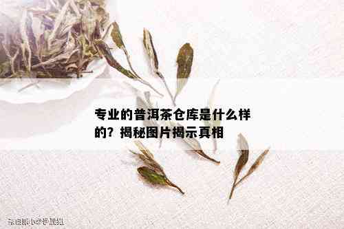 专业的普洱茶仓库是什么样的？揭秘图片揭示真相