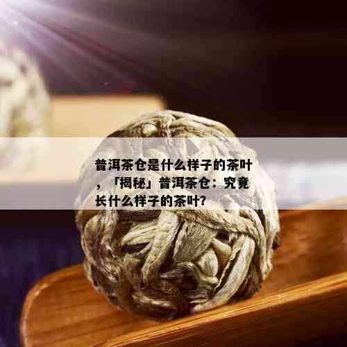 普洱茶仓是什么样子的茶叶，「揭秘」普洱茶仓：究竟长什么样子的茶叶？